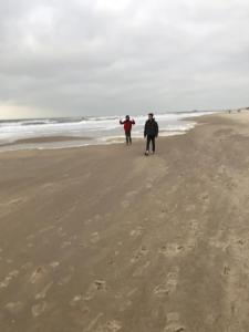 Vissershuisjes Wenduine-De Haan