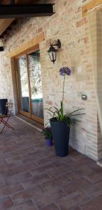 Meriggio Agriturismo