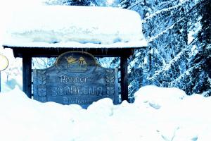 Apartment SonnleitnNassfeld