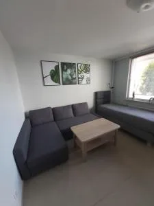 Apartament z ogrodem Tychy - Kobior