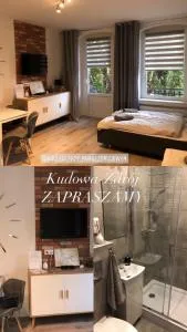 Apartament przy Parku Zdrojowym - 库多瓦-兹德鲁伊