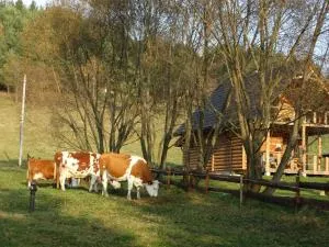 Wilczy Mszaniec - Staraya Solʼ