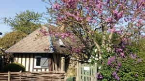 Maisons d'hotes Au p'tit jardin : photos des chambres