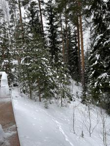 Kylpyla Villa SPA2 539