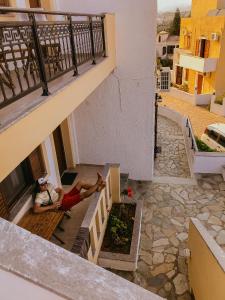 Flamingo Apartments Lasithi Greece