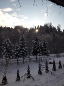 Pokoje gościnne Celina i Waldemar Szwala