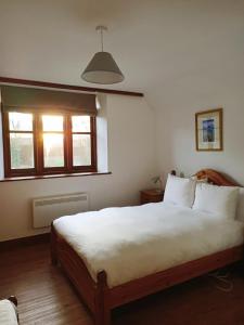 Standard Apartment room in Kingston Country Courtyard