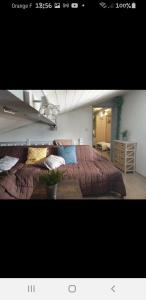 Appartements Cal tistu : photos des chambres