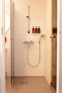 Apartment Lumikontupa