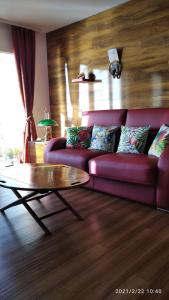 Appartements Appartement cosy les pieds dans l’eau, vue mer exceptionnelle : photos des chambres