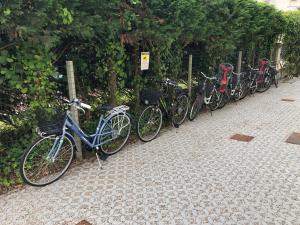 Residence Alba dOro solo Famiglie e Coppie