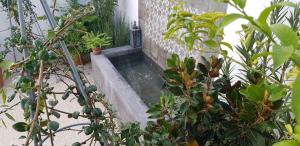 Casa Rural los Danzantes