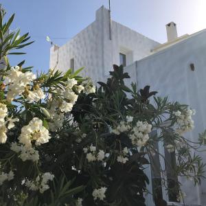 Anezina Village Paros Greece