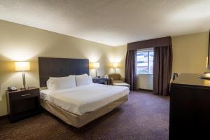 Standard Room room in Holiday Inn Express Hotel & Suites Pittsburgh Airport an IHG Hotel
