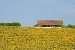 Maisons de vacances Manoir de Longeveau : photos des chambres