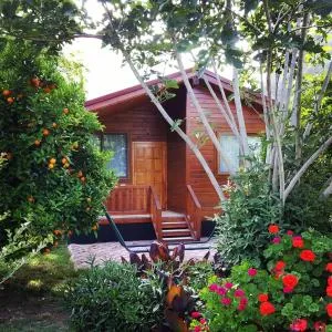 Asya Bungalow Çıralı - Olympos