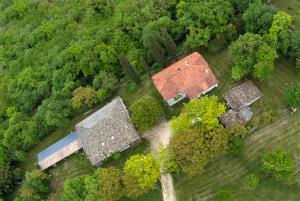 B&B / Chambres d'hotes Ferme de Laspeyrieres : photos des chambres