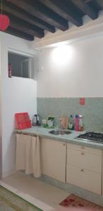 BIENNALE FLAT IN GIARDINI