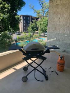 Pucon Parque Pinares (playa privada)