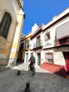 Apartment with Terrace room in Remolars Sevilla