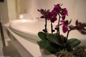 SuiteSistina for Brave Lovers