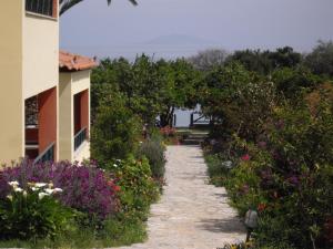 Magda Hotel Apartments Argolida Greece