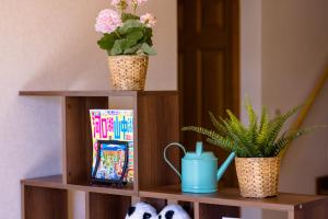 ma maison mt fuji kawaguchiko