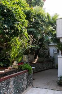 Plavi Žal Apartment 