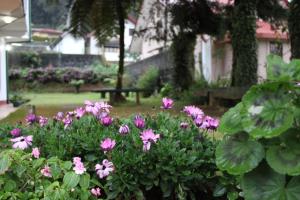 Blossomwell Bungalow