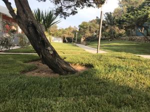 Club Esse Sporting img51