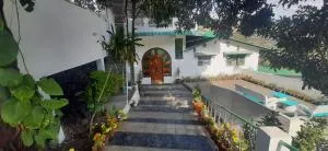 Experto The Greens - Patwa Dunga