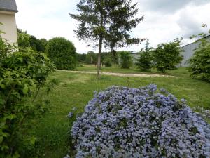 B&B / Chambres d'hotes Bienvenue a L'Andruere : Chambre Familiale avec Douche 