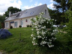 B&B / Chambres d'hotes Bienvenue a L'Andruere : Chambre Double