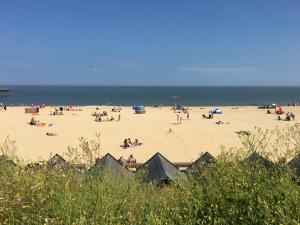 Apartment with Garden View room in Moray Beachside Apartments