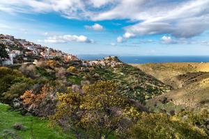 Under Royal Oaks Kea Greece