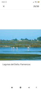 Deltafamily ¡ barbacoa,piscina, wifi Chromecast !!