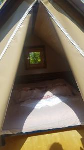 Campings Camping La Grappe Fleurie : photos des chambres