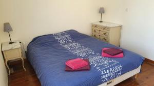 Domaine dHerminis - Gîte de Dame Carcas