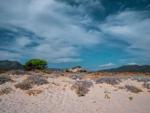 Sas Tilibbas-Ammentos Posada img26