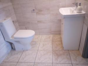 Apartamenty i pokoje Pluszak