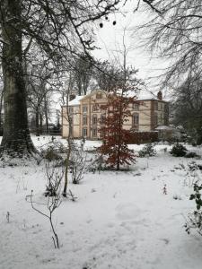 Sejours chez l'habitant Chambre Le Notre Le Domaine Des Jardins De Bracquetuit : photos des chambres