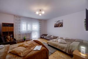 Apartamenty Bieszczady