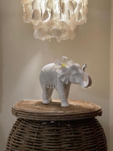 Ronco do Mar Cumbuco