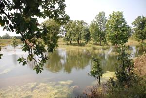 WelcomHeritage Jungle Home Pench