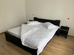 Pensiunea Valea Pintei