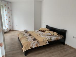 Pensiunea Valea Pintei