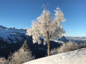 Appart'hotels Luxury 2 Bedroom Apartment with view of Mont Blanc : photos des chambres