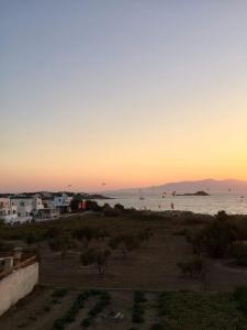 Sia's Place Naxos Greece