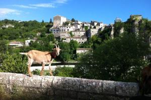 Maisons de vacances Les Oliviers gite grand confort au calme : photos des chambres