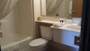 Deluxe King Suite - Non-Smoking room in AmericInn by Wyndham Madison SD